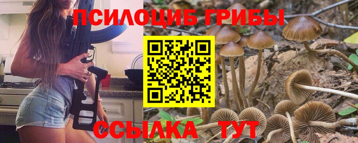Псилоцибиновые грибы Psilocybe  Вход с VPN  купить наркоту  Ростов-на-Дону  Галлюциногенные грибы мицелий 